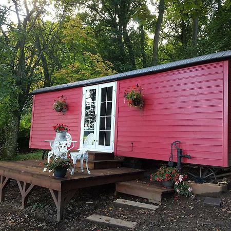 Borthwickbrae Shepherd'S Hut Hawick Zewnętrze zdjęcie
