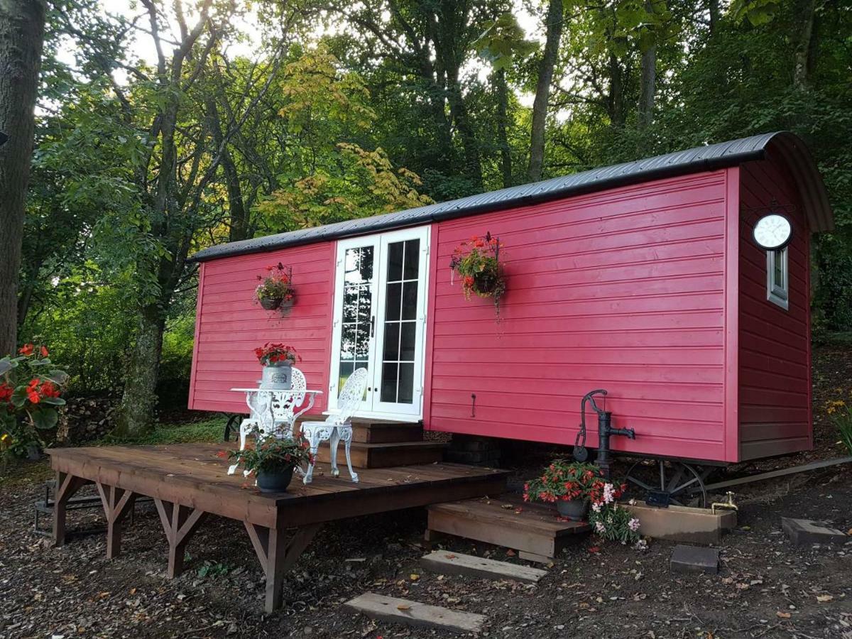 Borthwickbrae Shepherd'S Hut Hawick Zewnętrze zdjęcie